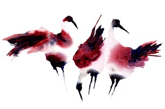 Röda Gårdsfåglar - akvarell till salu av konstnär Ylva Molitor-Gärdsell, Kivik på Österlen i Skåne